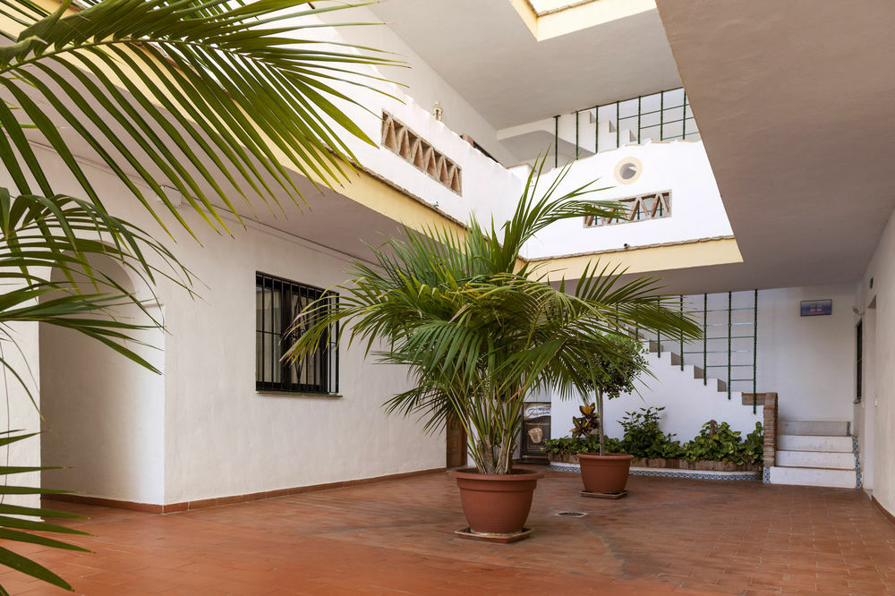 Calahonda Apartments - Los Jarales Mijas Eksteriør billede